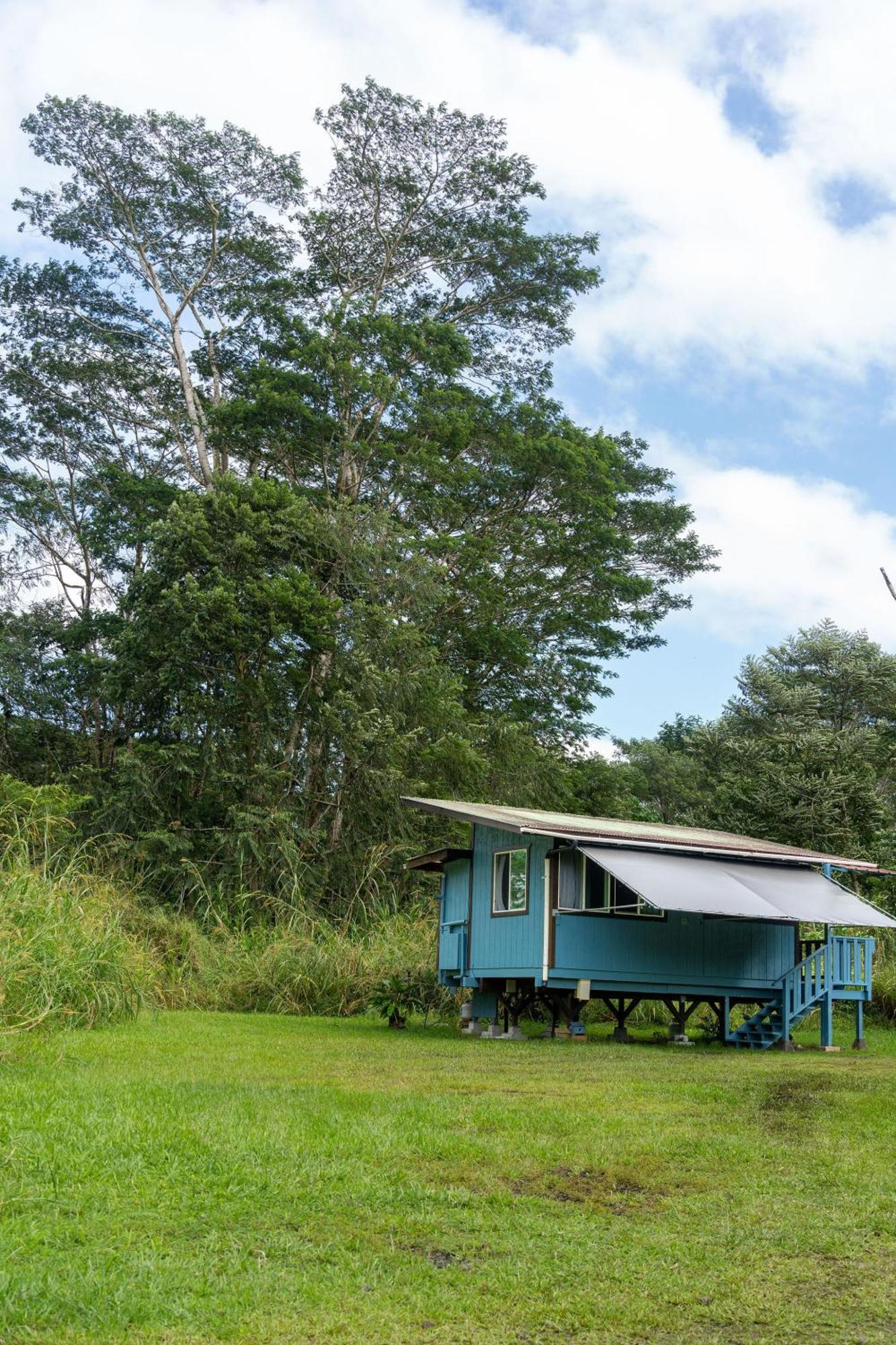 Hawaiian Sanctuary Eco Retreat Center Villa Pahoa Rum bild