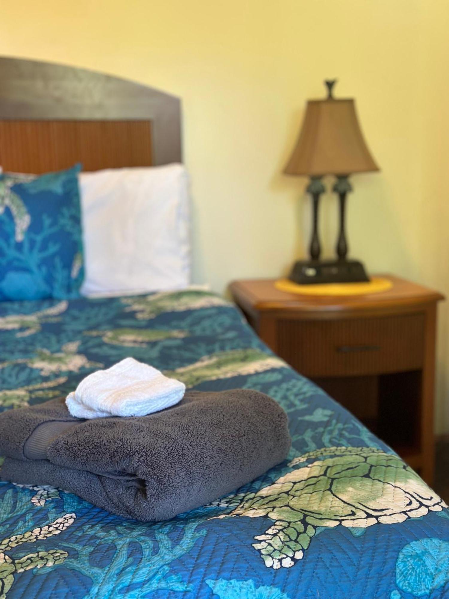 Hawaiian Sanctuary Eco Retreat Center Villa Pahoa Rum bild