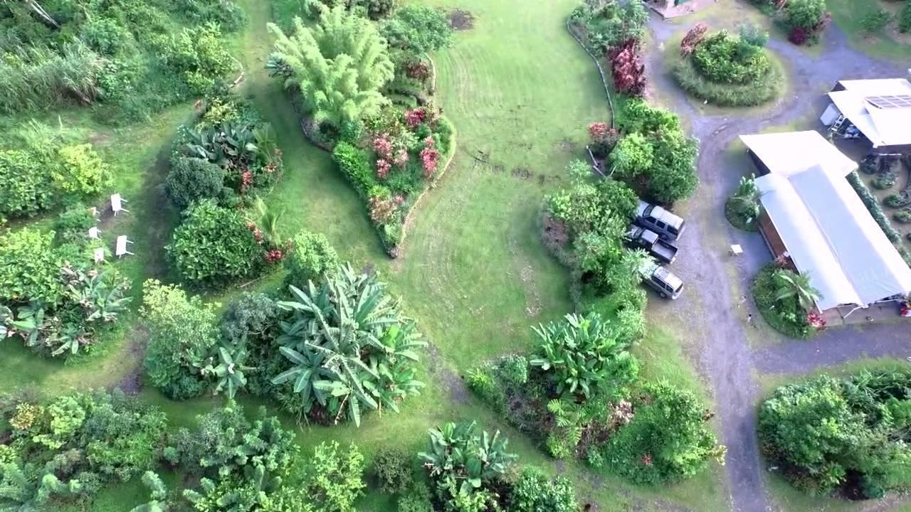 Hawaiian Sanctuary Eco Retreat Center Villa Pahoa Exteriör bild