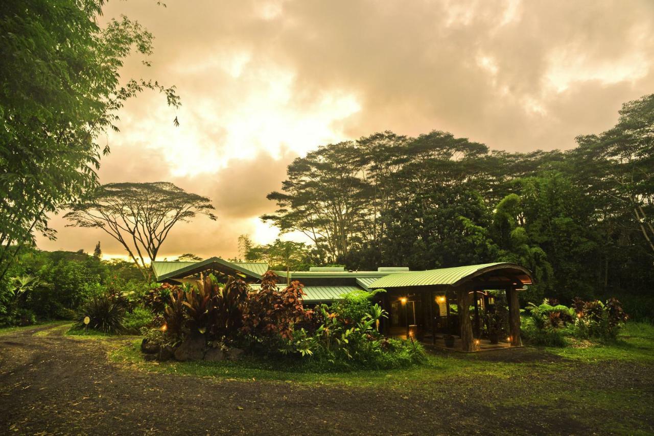 Hawaiian Sanctuary Eco Retreat Center Villa Pahoa Exteriör bild